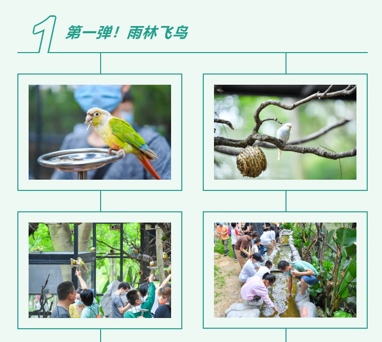 888����(�й�)���޹�˾