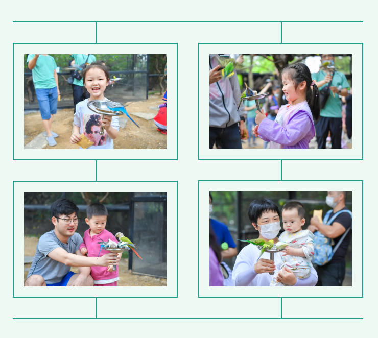 888����(�й�)���޹�˾