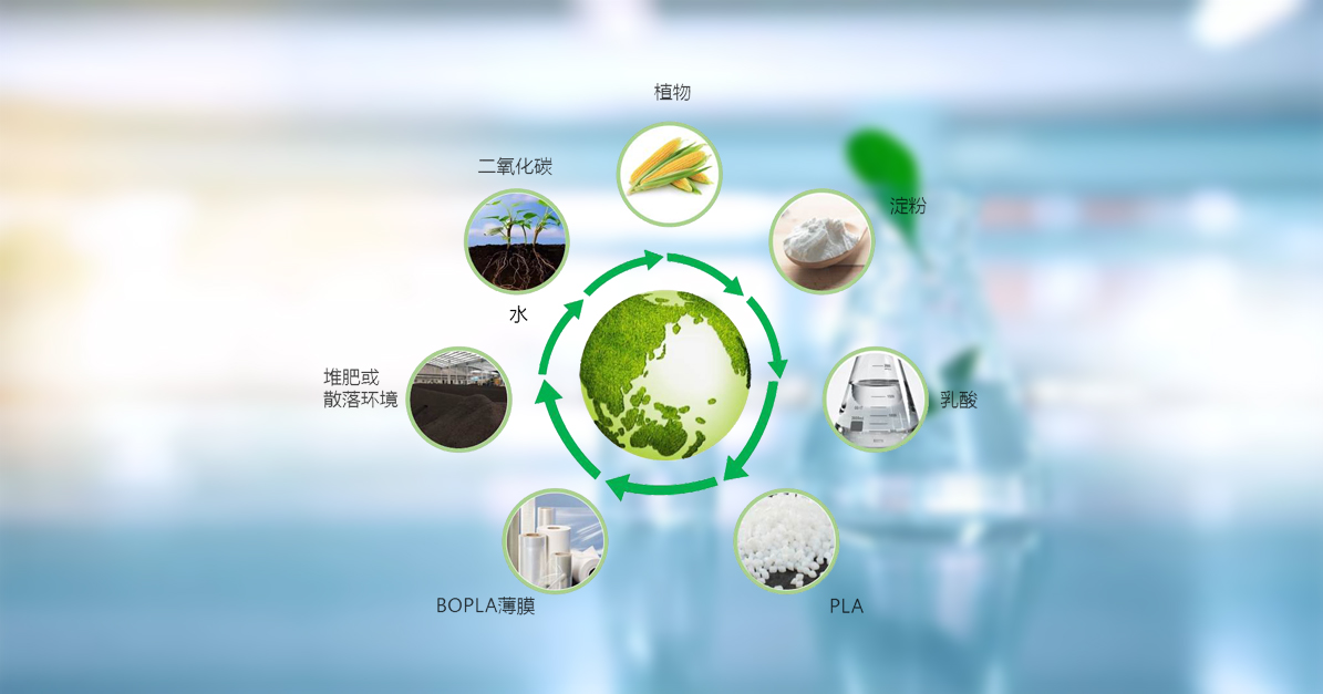 888����(�й�)���޹�˾