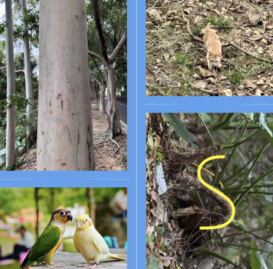 888����(�й�)���޹�˾